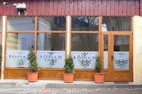 Pensiunea Vidalis Hotel in zona Avenue of Heroes in Cluj-Napoca