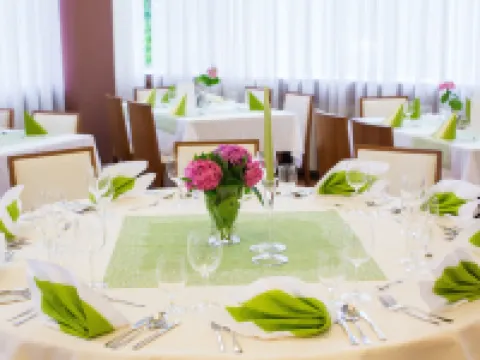Hotel Park Hotels in Piestany