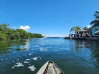 Waterfront Paradise w/Kayaks, Private Dock & BBQ