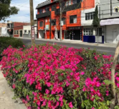 Hotel Posada Jardin Aguascalientes