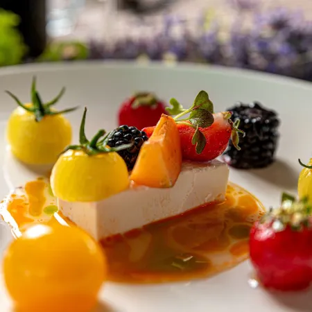 Reed Luxury Hotel by Balaton