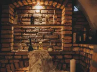 Kohlis Alpine Home by we Rent