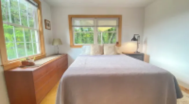 Modern Cabin retreat.  A world away but 3 miles from downtown Asheville.