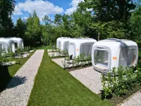 Direkt am Wallersee - Cubes