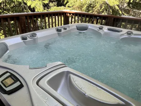 Shaver Dream View & SPA