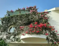 Beach penthouse, with 2 rooftop bars, 2 outdoor kitchens, Fiber WiFi + sea view! Hotel a 