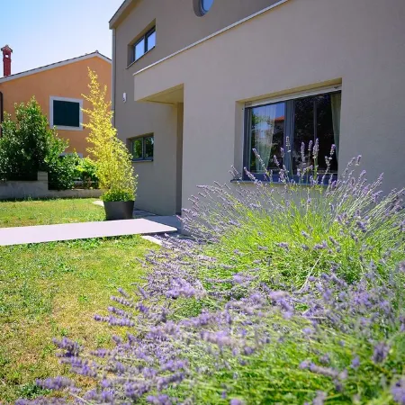 House Zara Medulin - Beautiful modern house