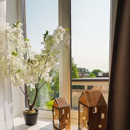 Cofy Rentals Tartu