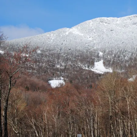 Jay River Front Three Bedroom. 2 miles to Jay Peak