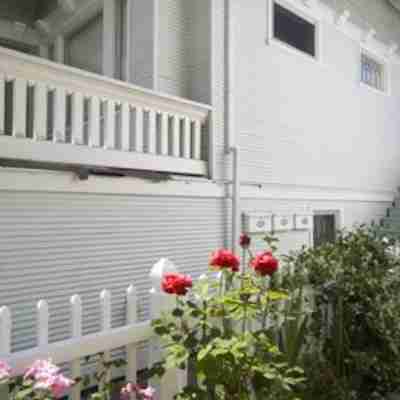 Home in the Heart of Midtown Sacramento! Others