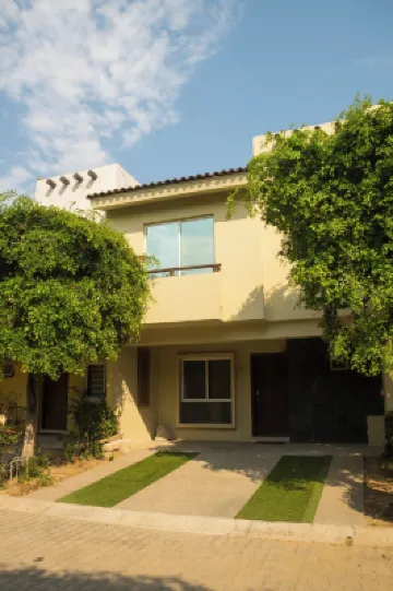 Tropical Getaway in Flamingos Near Beach