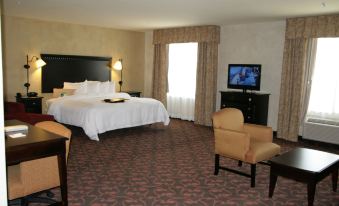 Hampton Inn & Suites Dallas-Arlington North-Entertainment District