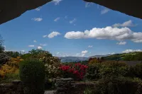 老德魯默