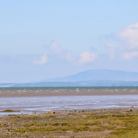 Shorefields Two
