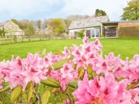 Higher Kernick Stable - 3-Star