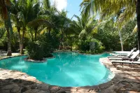 Blue Holbox Beach Front - Ocean View
