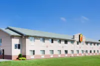 Super 8 by Wyndham Owensboro Hotels near Sassafras Tree
