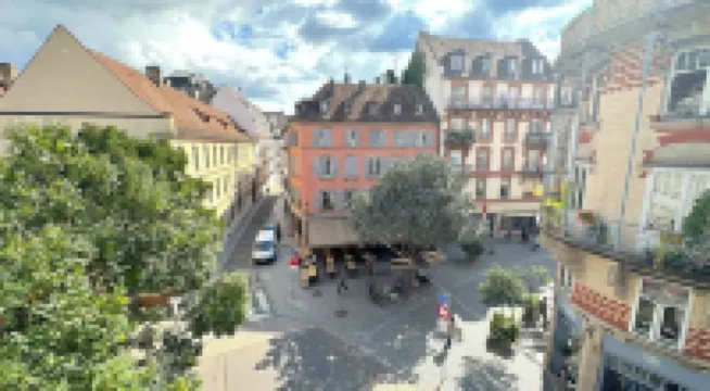 Renovated flat in the heart of Strasbourg