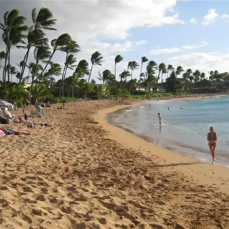 Beautiful Napili Bay 200 Steps to the Beach!