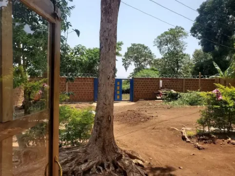 A studio room with the Kilimanjaro Mountain view located close to kcmc in Moshi.