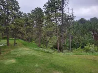 Beautiful & Comfy CABIN Retreat with abundant wildlife, WIFI and AC
