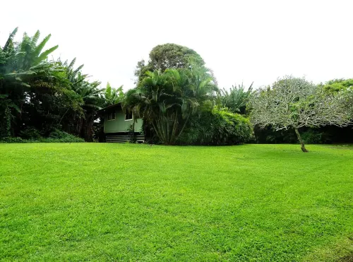 Great location between Hana Town and Hamoa Beach, private, family-friendly Hotels in Hana