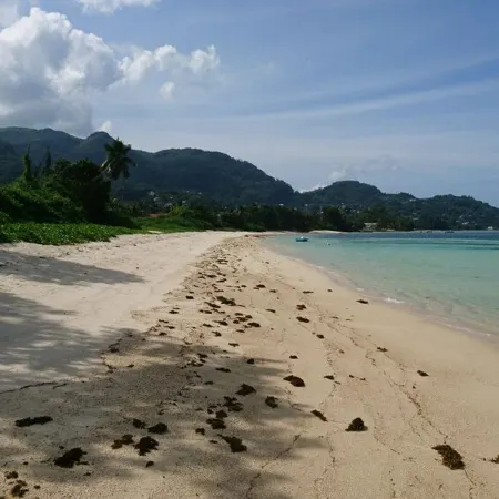 HCS Bungalows, Turtle Bay Rustic Bungalow with garden, Flat #1