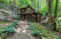 Cozy Cabin in the Woods Hammock Private