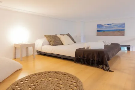 Oasis Urbano Elche - Terrace and Palm Grove Views