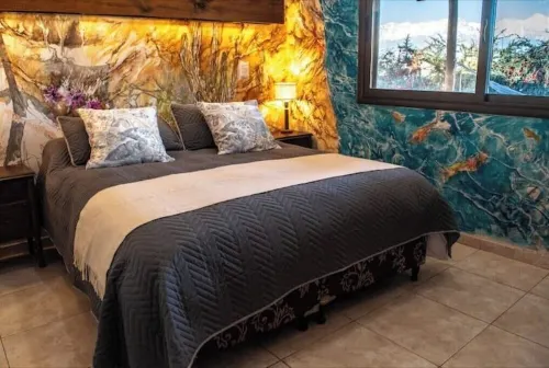 Vineyard Casita_Valle de Uco