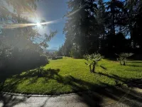 Mount rainier wonderful views