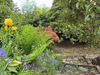 Newly renovated 3BD 2 Bath, Spacious with lots of light!