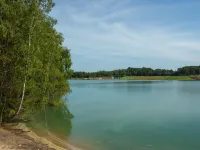 Zutendaal Forest Retreat