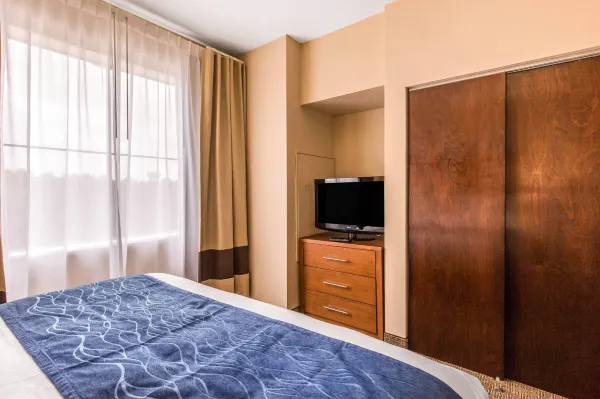 Comfort Inn & Suites IAH Bush Airport - East Phòng Photos