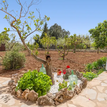 Sa Caseta (bÚger) - Country House With Pool