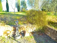 Getaway Amidst Vineyards