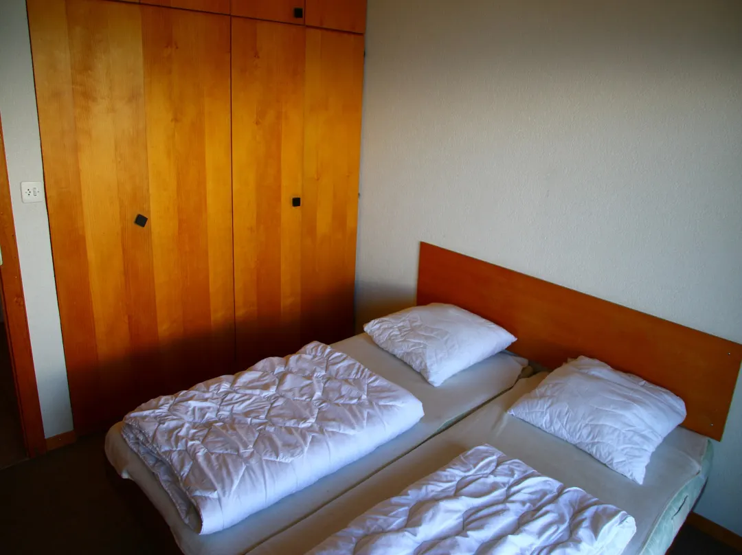 Apartment, 250m From Cable Car - Nendaz