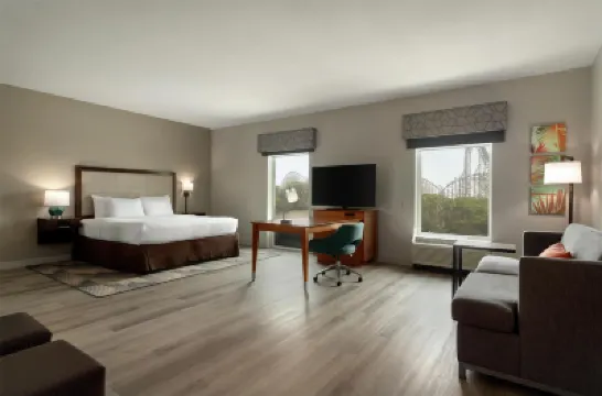 Hampton Inn and Suites by Hilton Tampa Busch Gardens Area Hotels near Busch Gardens