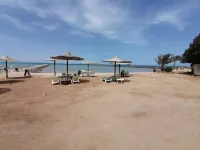 2BR Apartment • Side Sea View • Pool • Turtles Beach , D 4 8 - شاليه