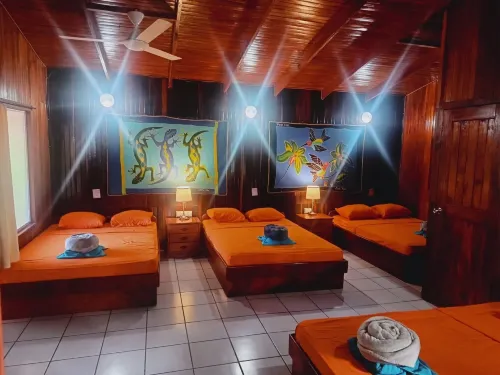 Hotel Aurora Hôtels à : Montezuma