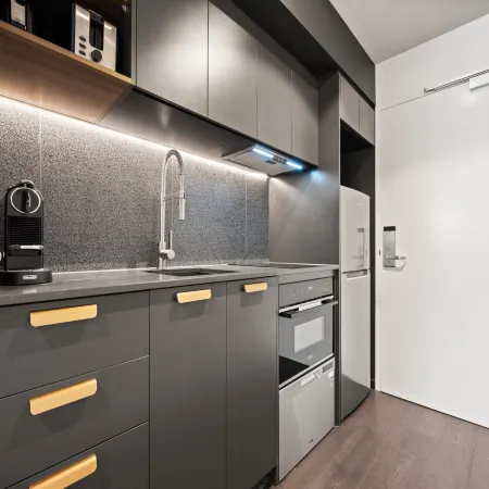 Elegant Studio with Parking
