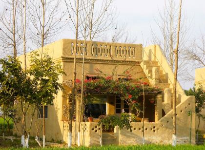 Punjab Village Farm near Amritsar