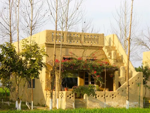 Punjab Village Farm near Amritsar - Homestays