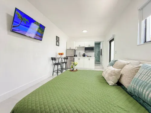 Luxury Suite Studio With Kitchen Spa Shower