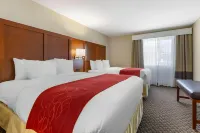 Spark by Hilton Tempe Phoenix Airport