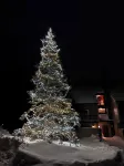 Cozy, relaxing condo overlooking Whiteface Club Resort near Jackrabbit trail.