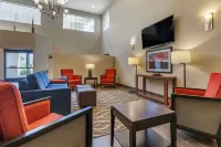 Comfort Inn & Suites North Tucson Marana - Wifi
