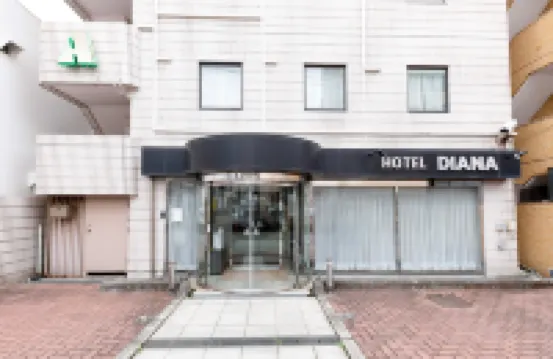 Tabist Business Hotel Diana Hotels near Kotehashi Onsui Pool
