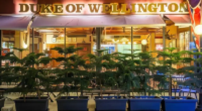 فندق ماي فلاور