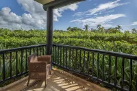 Catalonia Riviera Maya Resort & Spa- All Inclusive - Ocean View